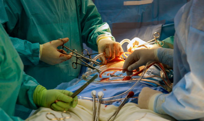 Microvascular surgery in progress